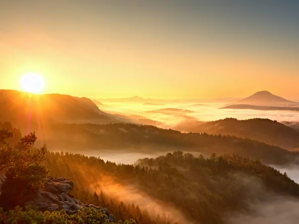 Otoño amanecer bosque, caída valle colorido lleno de niebla densa — Foto de Stock