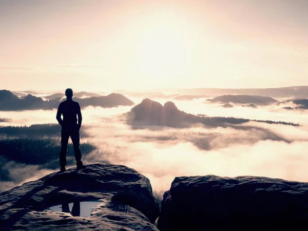 Hiker silhouette stand on cliff and watching over misty valley to Sun. Blue filtere — Stock Photo, Image