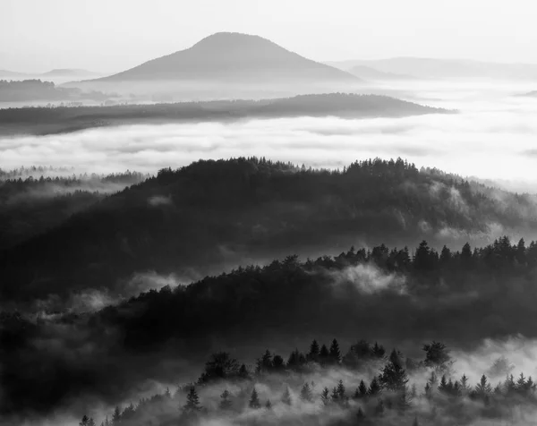 Névoa da manhã de outono. O penhasco de arenito acima das copas das árvores da floresta — Fotografia de Stock