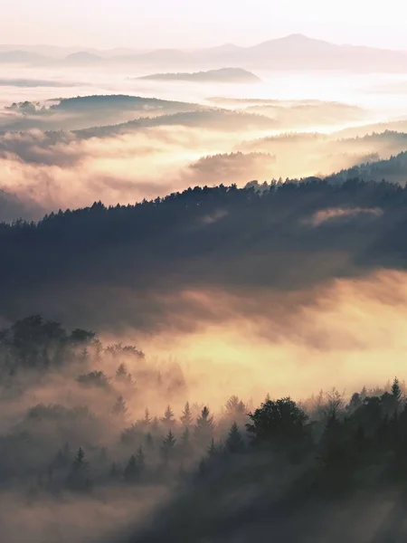 Beau paysage automnal avec vue sur la montagne, brouillard matinal — Photo