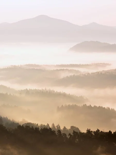Hermoso paisaje otoñal con vista a la montaña, niebla matutina — Foto de Stock