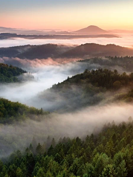 Mooie herfst landschap met bergzicht, ochtend mist — Stockfoto