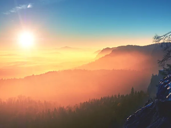 Maravilloso amanecer sobre el valle lleno de niebla colorida. Picos de árboles altos — Foto de Stock