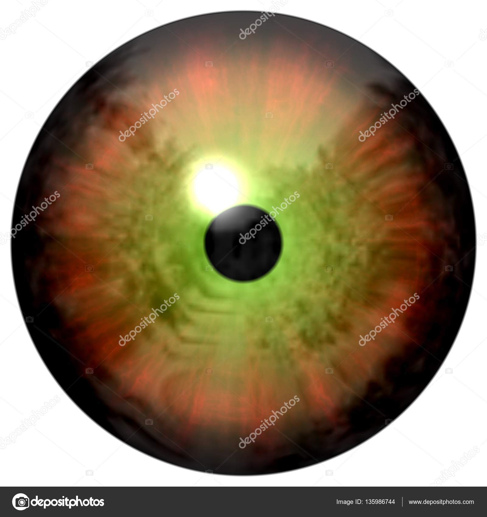 Öğrenciler ne için dilate edildi Öğrenciler ne için dilate edildi
