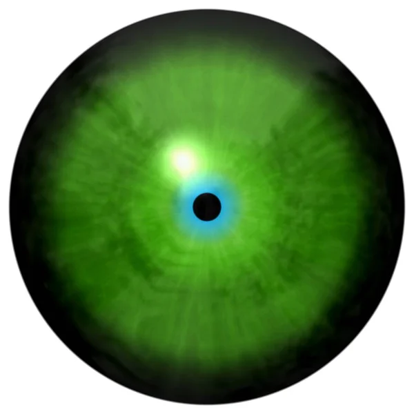 Occhio verde isolato. Illustrazione dell'iride oculare striata verde — Foto Stock