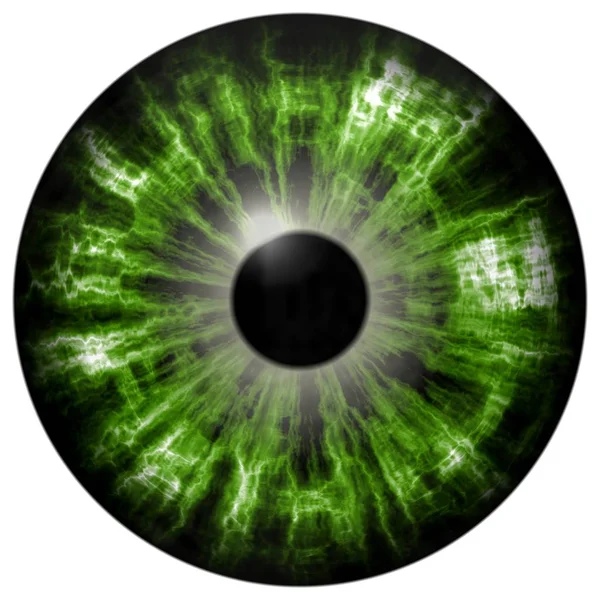 Изолированный зелёный глаз. Иллюстрация зеленой полосатой радужки глаза — стоковое фото