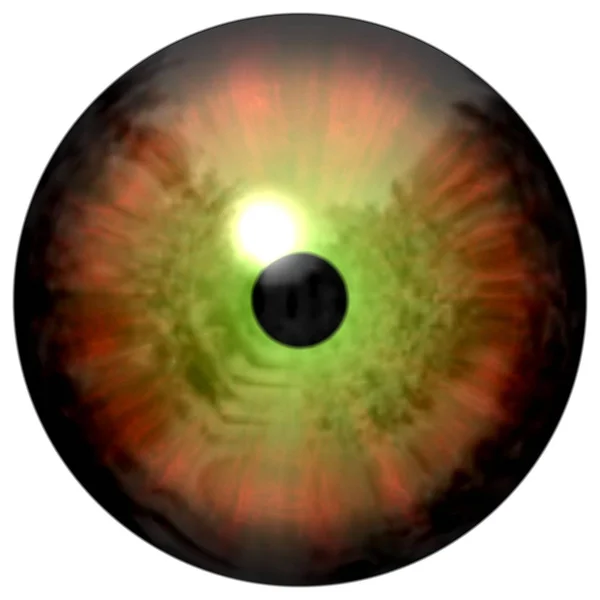 Glat orange øje. Dyr 3D øje med stor elev og mørk nethinde - Stock-foto