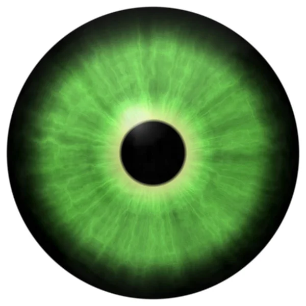 Isolated green eye. Illustration of green stripped eye iris — Stock Photo, Image