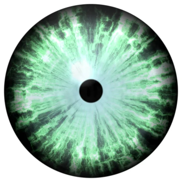 Isolert grønt øye. Illustrasjon av grønn, strippet øyeniris – stockfoto