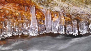Buz sarkıtları shinning. Donmuş damla yukarıda kış akışı güzel buz sarkıtları oluşturdu. Köpüklü kış brook yukarıda ışıltılı buz. Düşmüş gövde ve dal buz örtüsünün ve küçük kar pul ile.