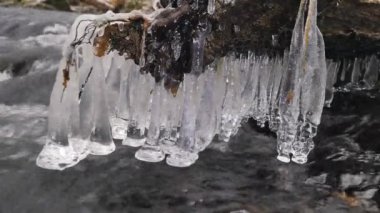 Uzun buz sarkıtları dağ nehir karanlık soğuk suyun üstünde dur. Buz sarkıtları glitter akışı sütlü su üstünde. Düşmüş gövdeleri dallarında toz kar küçük gevreği tarafından karşılanmaktadır. 4k 3840 X 2160  