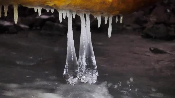Detail glänzender Eiszapfen, die über dem kalten Wasser des winterlichen Gebirgsflusses hängen. Glitzernde Eiszapfen über schäumendem Bach. Umgestürzte Stämme mit Eisdecke und kleinen Flocken Pulverschnee — Stockvideo