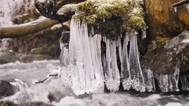 Detail glänzender Eiszapfen, die über dem kalten Wasser des winterlichen Gebirgsflusses hängen. Glitzernde Eiszapfen über schäumendem Bach. Umgestürzte Stämme mit Eisdecke und kleinen Flocken Pulverschnee — Stockvideo