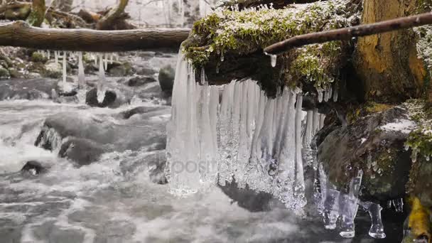 Detail of shinning icicles hanging above cold water of winter mountain river. Glittering icicles above foamy stream. Fallen trunks with ice cover and small flakes of powder snow — Stock Video