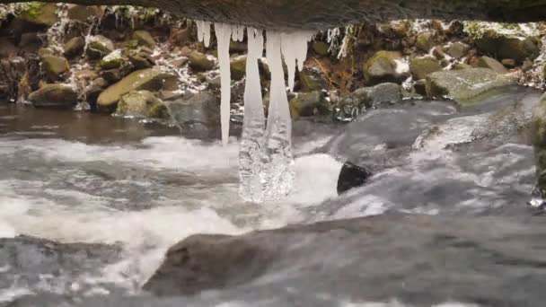 Detail of shinning icicles hanging above cold water of winter mountain river. Glittering icicles above foamy stream. Fallen trunks with ice cover and small flakes of powder snow — Stock Video