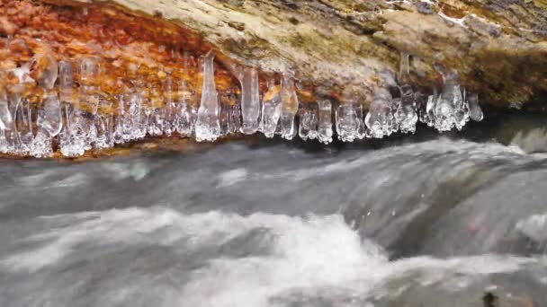 Shinning icicles. Frozen drops above winter stream created beautiful icicles.  Glittering ice above foamy winter brook. Fallen trunk and branch with ice cover and small snow flakes. — Stock Video