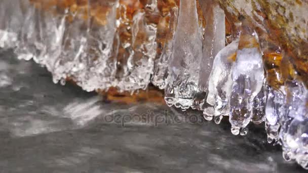 Detail lesklý rampouchy visící nad studenou vodou zimní horské řeky. Třpytivé rampouchy nad pěnový proud. Padlé kmeny s ledem a malé prášku sněhové vločky — Stock video