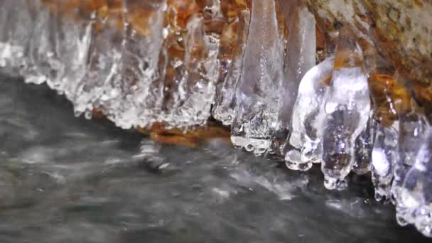 Detail of shinning icicles hanging above cold water of winter mountain river. Glittering icicles above foamy stream. Fallen trunks with ice cover and small flakes of powder snow — Stock Video