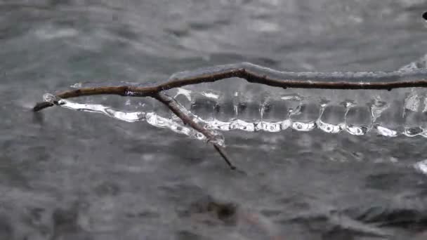 Détail des glaçons de shinning suspendus au-dessus de l'eau froide de la rivière de montagne d'hiver. Glaces scintillantes au-dessus d'un ruisseau mousseux. Malles tombées avec couverture de glace et petits flocons de neige poudreuse — Video