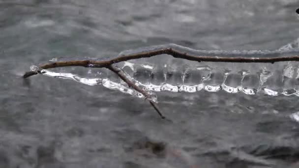 详细的冷水冬季山区河流的上面挂着的灿烂冰柱。亮晶晶的冰条以上泡沫流。倒下的树干与冰盖和粉小雪花 — 图库视频影像