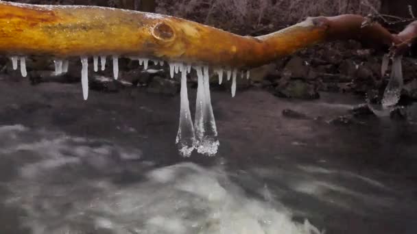 Detail of shinning icicles hanging above cold water of winter mountain river. Glittering icicles above foamy stream. Fallen trunks with ice cover and small flakes of powder snow — Stock Video