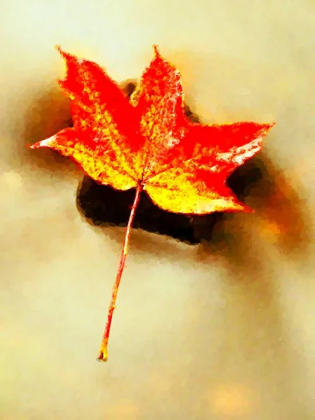 Farby akwarelowe. Pomarańczowy czerwony jesień liść klonu w strumieniu — Zdjęcie stockowe