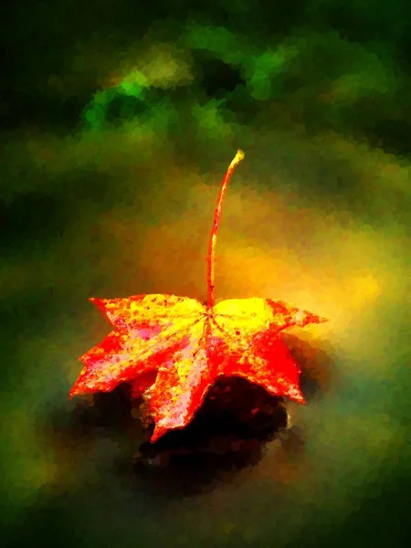 Pintura acuarela. Hoja de arce de otoño rojo anaranjado en curso — Foto de Stock