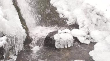 Donmuş dağ dere. Karlı ve buzlu taşlar soğuk su. Icicle'ı feryat şelale, taşlı ve karlı akışı banka düşmüş dalları ile. Yakın odak.