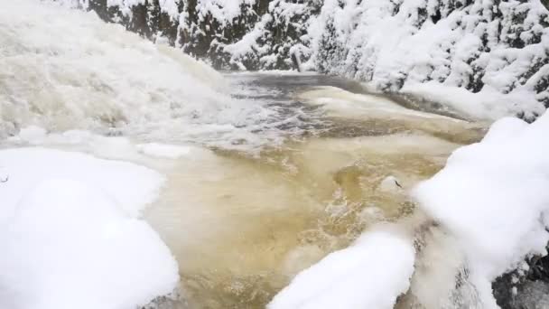 Frozen mountain stream. Snowy and icy stones in chilly water. Icicle bellow waterfall, stony and snowy stream bank with fallen branches. Close focus. — Stock Video