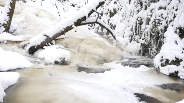 Frozen mountain stream. Snowy and icy stones in chilly water. Icicle bellow waterfall, stony and snowy stream bank with fallen branches. Close focus. — Stock Video