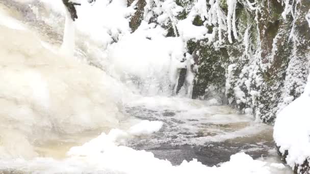 Fryst fjällbäck. Snöiga och isiga stenar i kyligt vatten. Istapp bellow vattenfall, stenig och snöiga ström bank med fallna grenar. Nära fokus. — Stockvideo