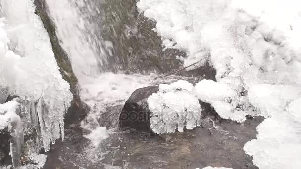 Ruisseau de montagne gelé. Pierres enneigées et glacées dans l'eau froide. Cascade de soufflet de glace, rive rocheuse et enneigée avec branches tombées. Gros plan . — Video