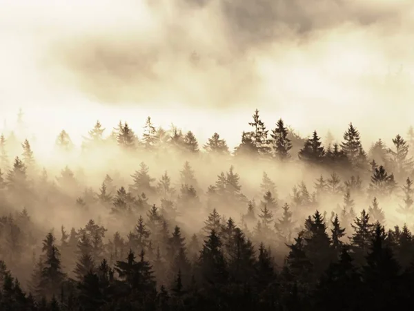 Schöne herbstliche Landschaft mit Bergblick, morgendliches nebliges Tal — Stockfoto