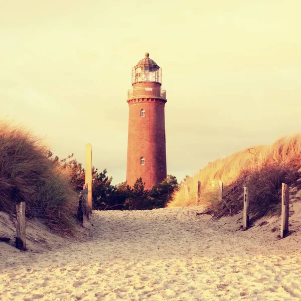 Antiguo faro sobre dunas y pino antes del atardecer . —  Fotos de Stock