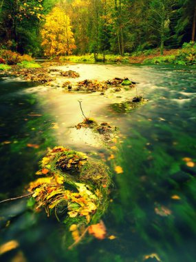 Boulder sonbahar dağ dere üzerinde renkli sonbahar yaprakları.