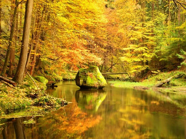 Bosque colorido de otoño sobre el río de montaña. Agua bajo las hojas árboles — Foto de Stock