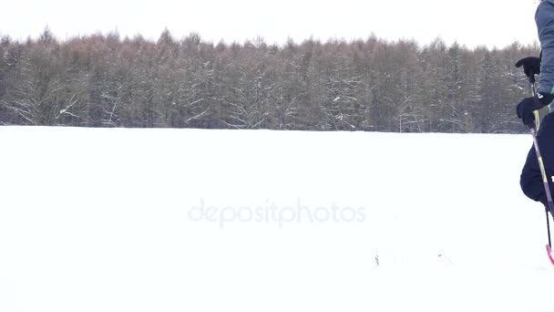 Χειμώνα πεζοπόρος με μεγάλο σακίδιο περίπατο με χιονοπέδιλα σε χιόνι. Πεζοπόρος σε Αντιανεμικό μπουφάν πράσινο και μαύρο πεζοπορία παντελόνι snowshoeing σε φρέσκο χιόνι. Συννεφιασμένη χειμωνιάτικη μέρα. — Αρχείο Βίντεο