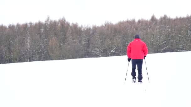 Hombre con raquetas de nieve caminar en nieve archivado. Caminante en chaqueta de invierno roja y pantalones de trekking negros raquetas de nieve en polvo nieve. Nublado día de invierno, viento suave trae pequeños copos de nieve . — Vídeos de Stock