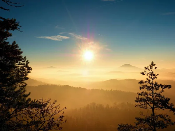 Amanecer frío y dorado de primavera. Nieve en el suelo. Picos de bosque — Foto de Stock