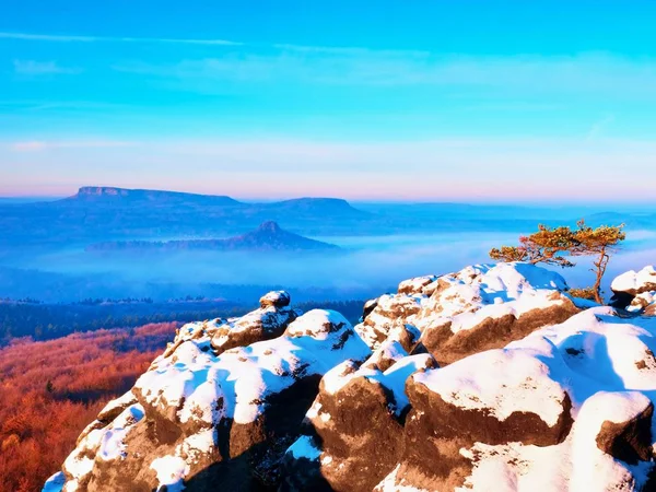 Amanecer rosa en el paisaje montañoso. Temprano invierno mañana brumosa en tierra —  Fotos de Stock