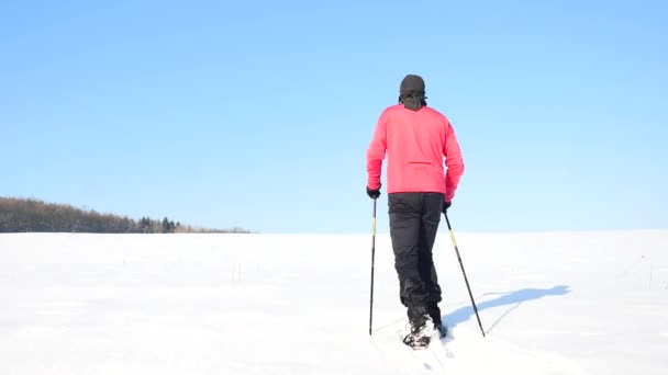 Turista de invierno con raquetas de nieve caminar en la deriva nevada. Caminante en chaqueta deportiva rosa y pantalones de trekking negros raquetas de nieve en polvo nieve. Nublado día de invierno, viento suave trae pequeños copos de nieve . — Vídeos de Stock