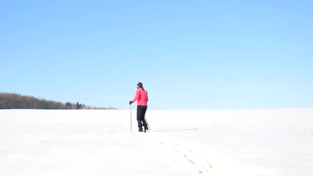 Turista de inverno com calçados de neve andar à deriva nevado. Caminhante em jaqueta de esportes rosa e calças de trekking pretas snowshoeing em neve em pó. Dia de inverno nublado, vento suave traz pequenos flocos de neve . — Vídeo de Stock