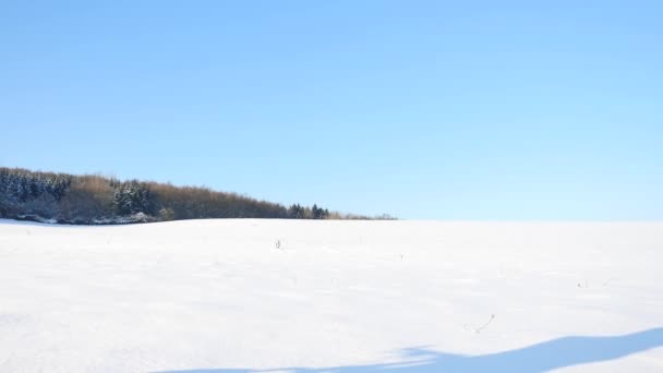 骑自行车山地自行车推雪漂移。冻结冬季的阳光明媚的天气。骑自行车的人在深雪中草甸推自行车。小雪花在空中. — 图库视频影像