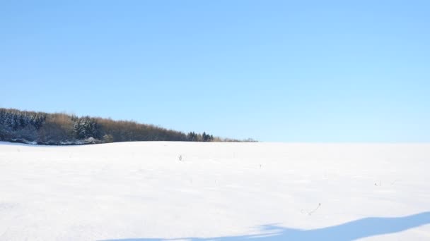 Biker empurrando mountain bike na neve drift.Freeze tempo de inverno ensolarado. Motociclista está empurrando bicicleta na neve profunda no prado. Pequenos flocos de neve no ar . — Vídeo de Stock