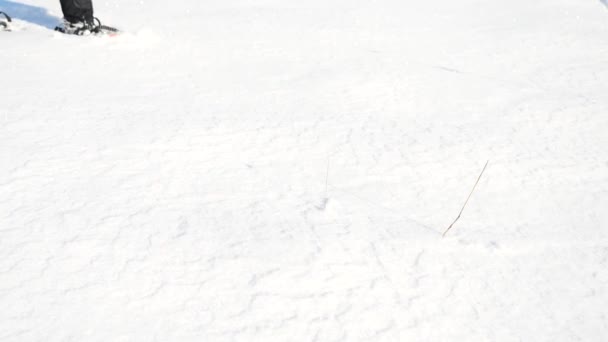 Man poten met sneeuwschoenen lopen in de sneeuw. Detail van de winter wandeling in sneeuwjacht, sneeuwschoenwandelen met trekking palen en dekking in poeder sneeuw schoen. Zachte wind brengt kleine sneeuwvlokken — Stockvideo