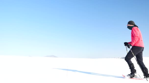 Turista de invierno con raquetas de nieve caminar en la deriva nevada. Caminante en chaqueta deportiva rosa y pantalones de trekking negros raquetas de nieve en polvo nieve. Increíble día de swinter, viento suave trae pequeños copos de nieve . — Vídeos de Stock