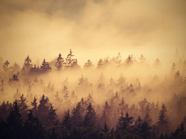 Szép őszi táj, kilátással a hegyre, ködös reggel-völgy — Stock Fotó