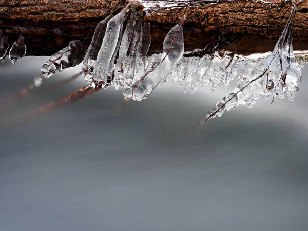 冰柱挂在树枝和冰冷树皮上面辣椒快速流. — 图库照片