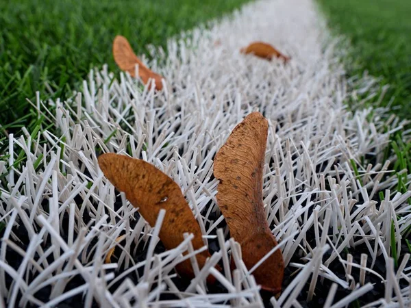 End of football season. Plastic green football turf — Stock Photo, Image