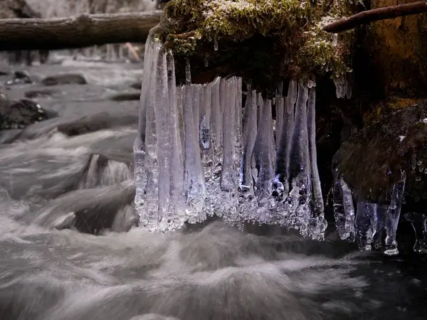 Creek de inverno com os icicles acima do córrego congelado da montanha. Temporada de Inverno — Fotografia de Stock